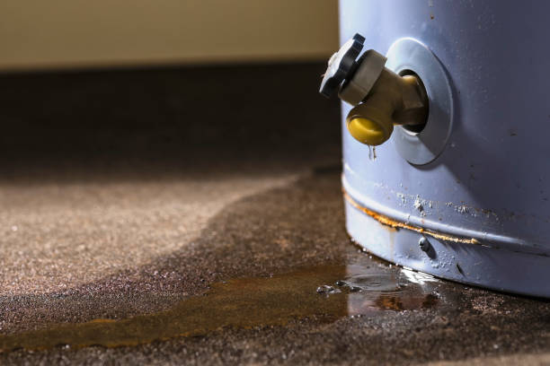 Best Local water damage restoration  in Lumbine, CO
