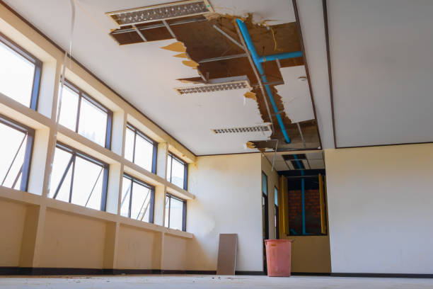  Lumbine, CO Water damage restoration Pros