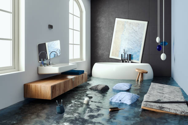 Best Basement water damage restoration  in Lumbine, CO