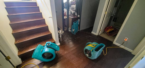 Best Flooded house restoration  in Lumbine, CO