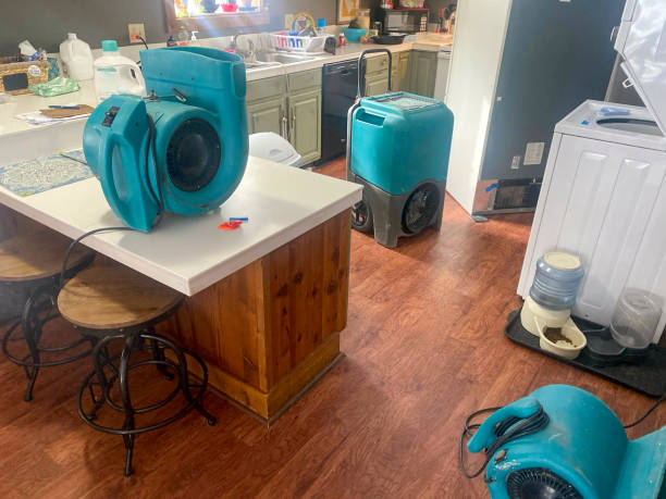 Best Water damage contractors near me  in Lumbine, CO