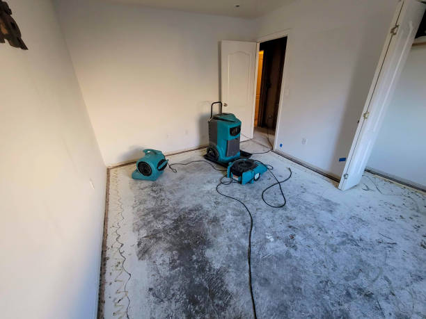 Local water damage restoration in Columbine, CO
