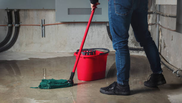 Best Water damage restoration near me  in Lumbine, CO