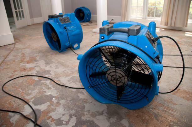 Best Local water damage restoration  in Lumbine, CO