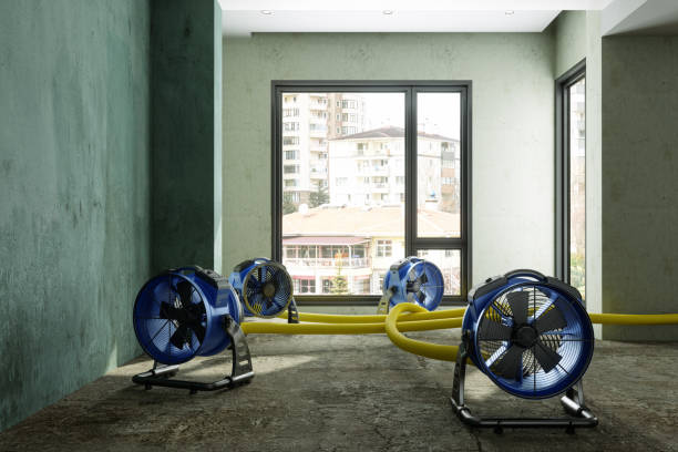 Best Residential water damage restoration  in Lumbine, CO